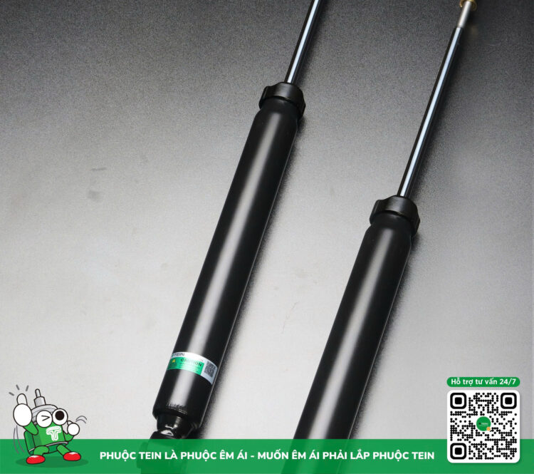 phuộc sau vf5 - TEIN Basic