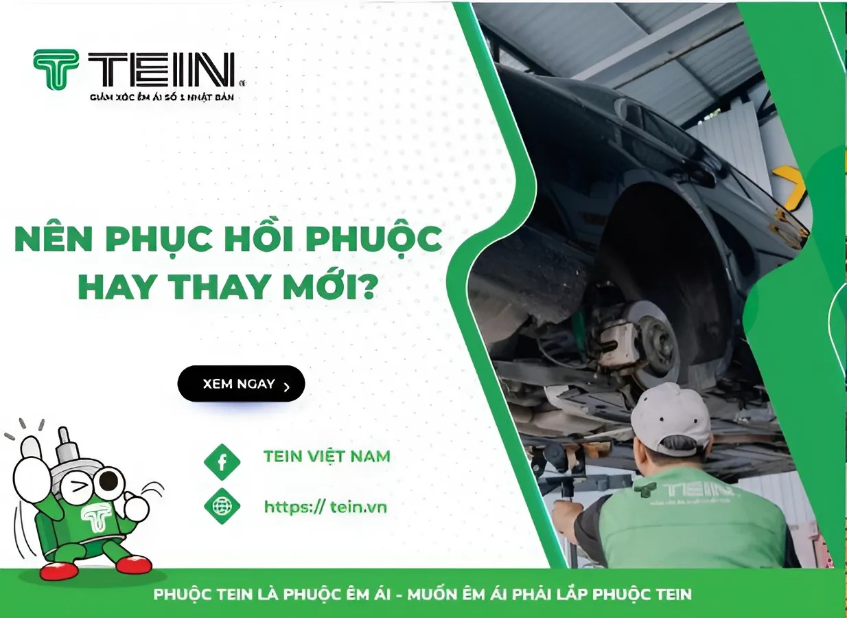 Nên Phục Hồi Phuộc Hay Thay Mới? Tư Vấn Chuyên Sâu Từ TEIN Việt Nam