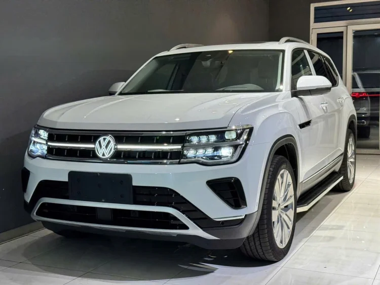 giảm xóc cho xe VOLKSWAGEN TERAMONT