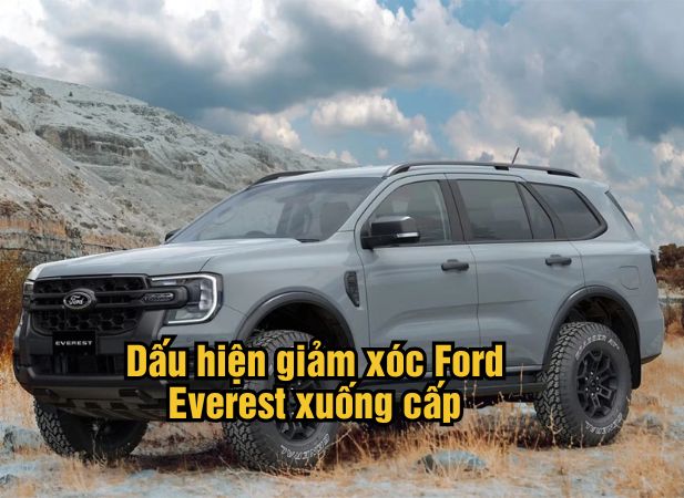 4 dấu hiệu nhận biết giảm xóc Ford Everest xuống cấp
