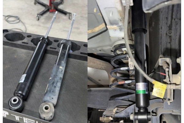 phuoc seltos zin va phuoc tein