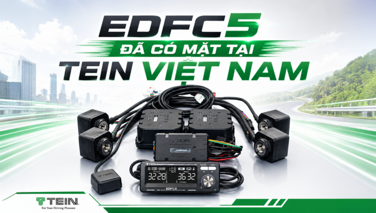 TEIN EDFC 5
